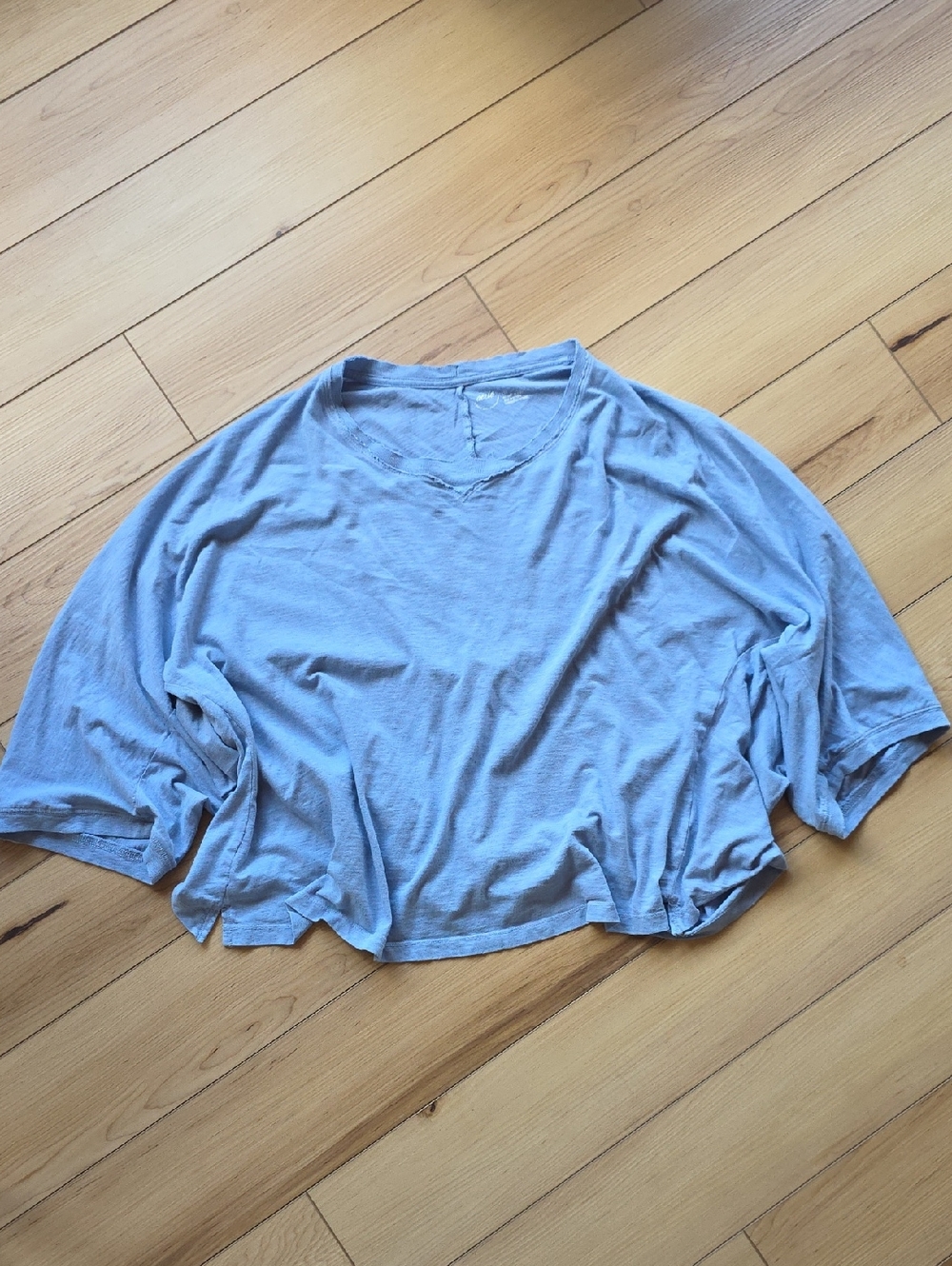 Aerie light blue relaxed crop tee
